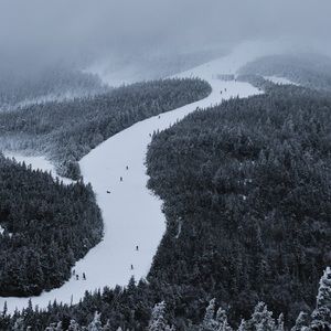 Meet your Posher, Gary